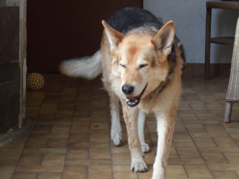 Ostern 2007 Orleshausen 098 